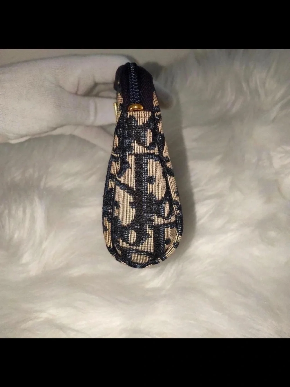 Dior classic monogram